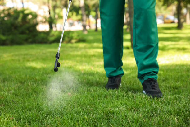Best Emergency Pest Control  in Hamton, IL