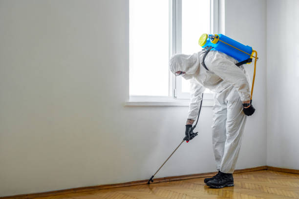 Best Pest Prevention Services  in Hamton, IL