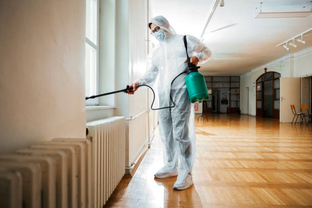 Best Mosquito Control Services  in Hamton, IL