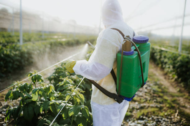 Best Commercial Pest Control Services  in Hamton, IL